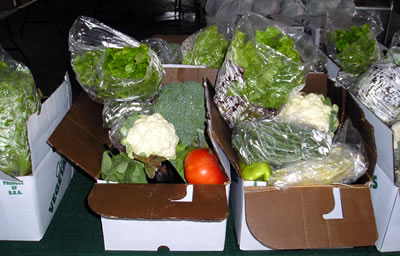 Hilltop Veggie Club Packages